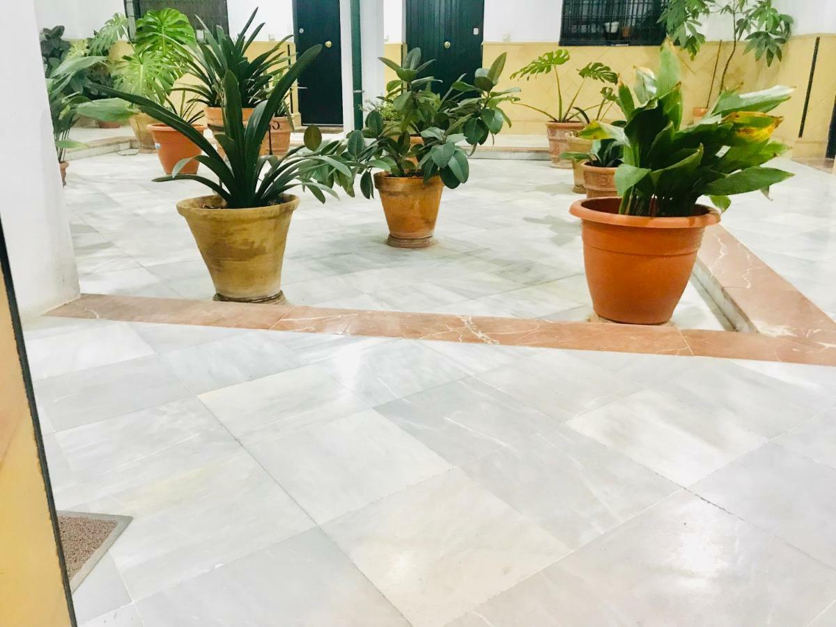 Los Patios De La Juderia Sevilla Exterior foto